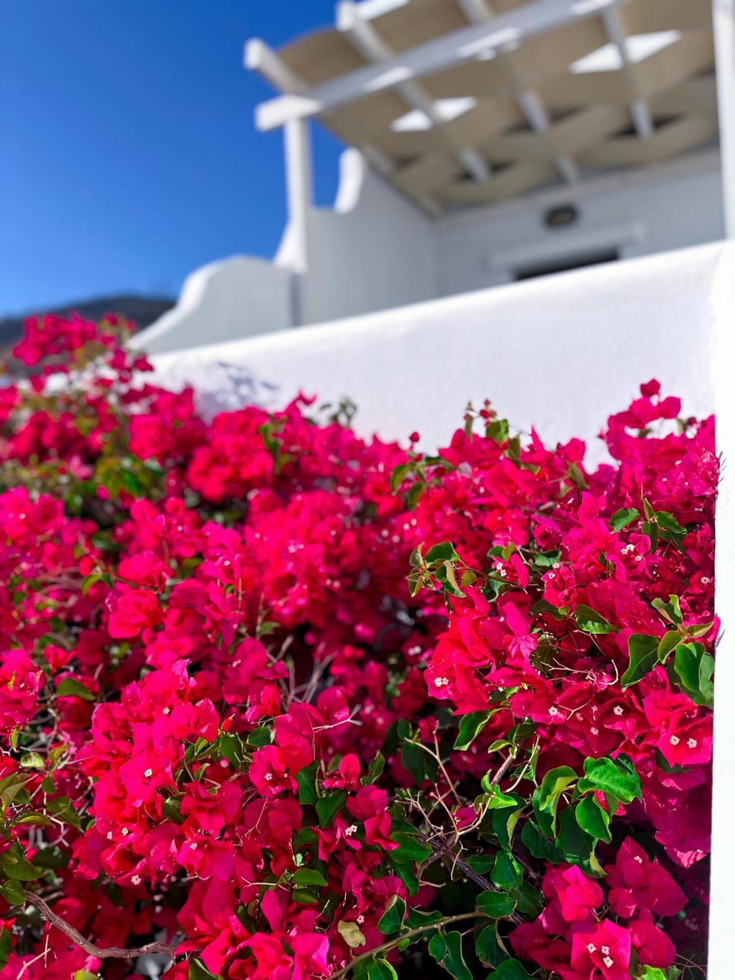 Lygaria Apartment Agios Ioannis  Exterior photo